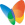MSN Explorer