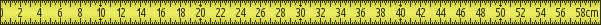 60cm Ruler